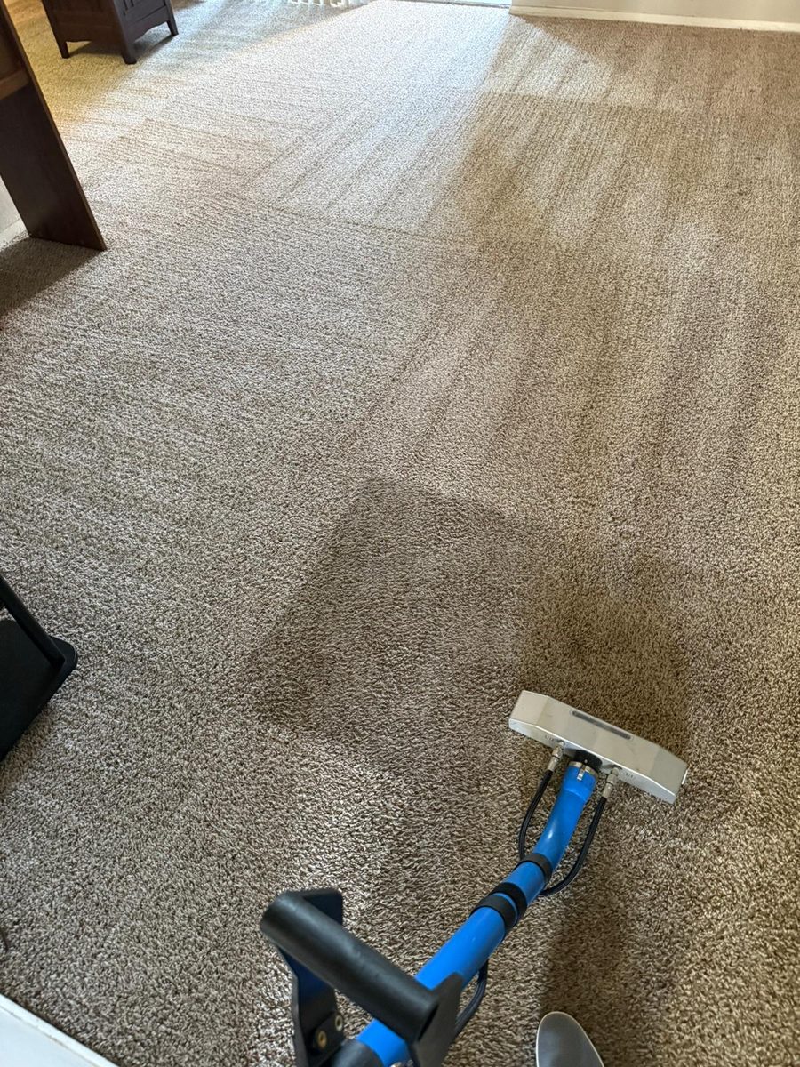 Professional hot-water carpet extraction in a North Texas home