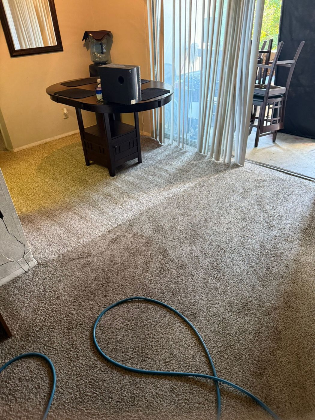 Squeaky Clean carpet and floor cleaning result in North Texas &mdash; photo 13