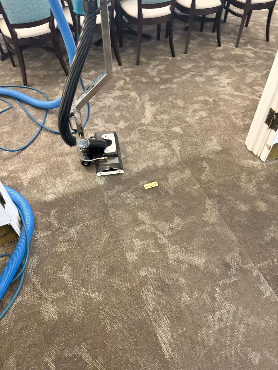 Squeaky Clean carpet and floor cleaning result in North Texas &mdash; photo 14
