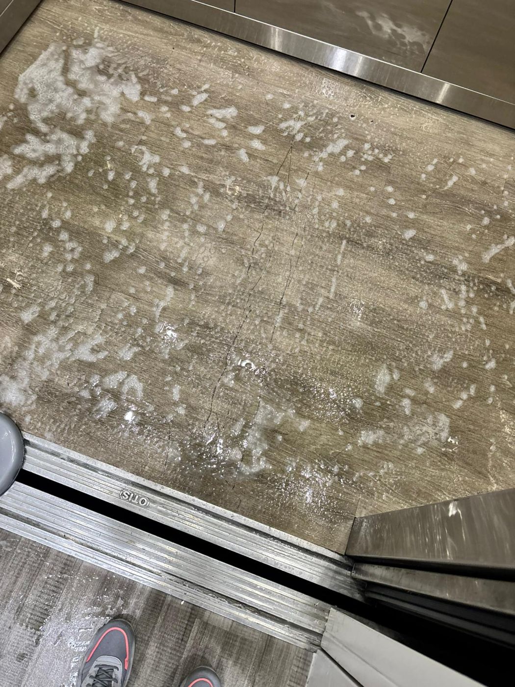 Squeaky Clean carpet and floor cleaning result in North Texas &mdash; photo 15