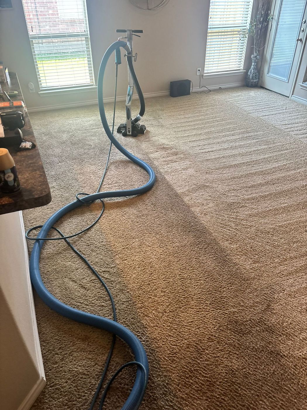 Squeaky Clean carpet and floor cleaning result in North Texas &mdash; photo 17