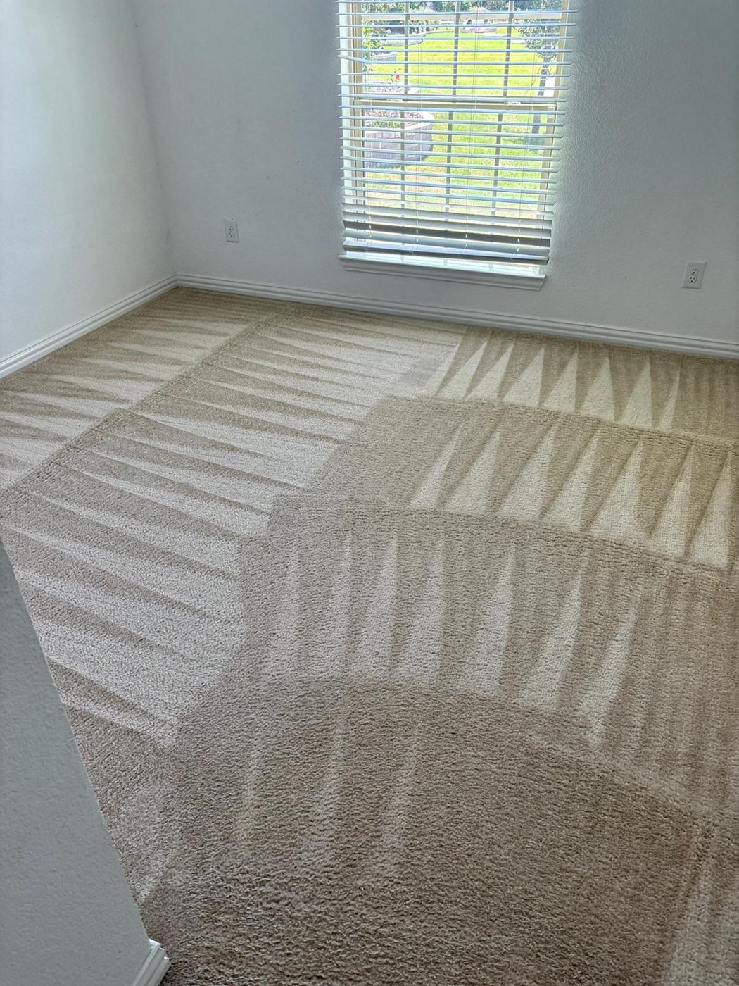 Squeaky Clean carpet and floor cleaning result in North Texas &mdash; photo 19