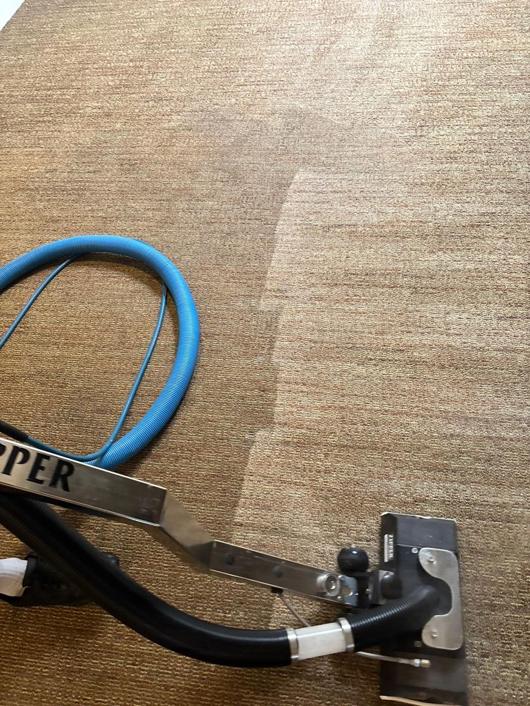 Squeaky Clean carpet and floor cleaning result in North Texas &mdash; photo 21