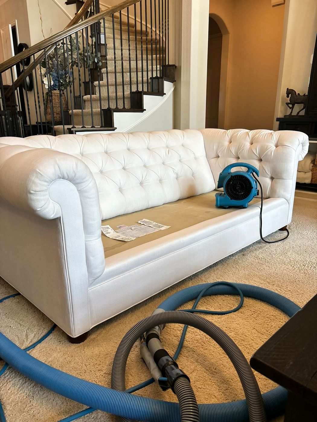 Squeaky Clean carpet and floor cleaning result in North Texas &mdash; photo 28