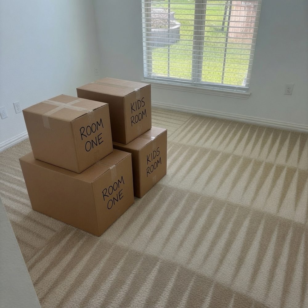 Freshly cleaned carpet with labeled moving boxes — move-in/move-out cleaning