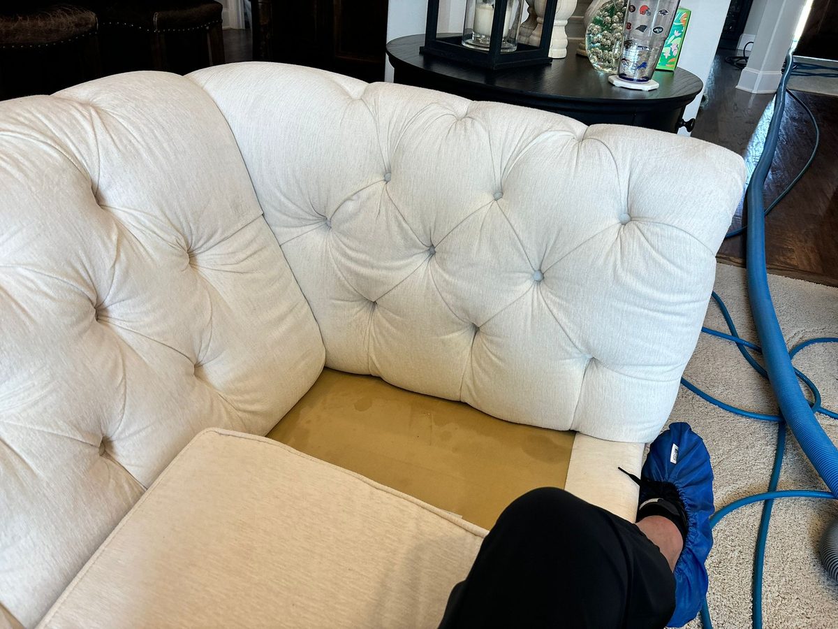 Professional residential upholstery and furniture cleaning